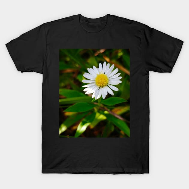 Tiny Daisy-Light T-Shirt by Rebekah Slick